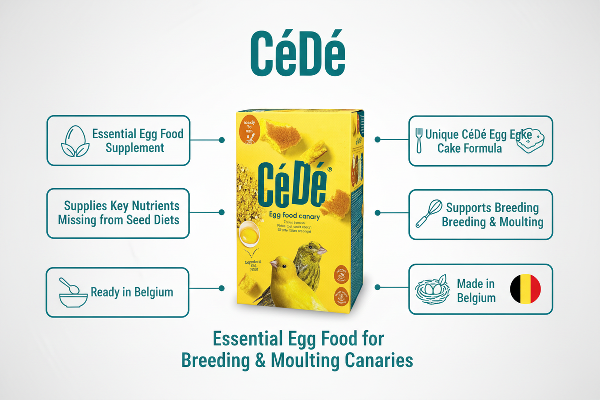 CéDé Canary Rearing Food Infographic