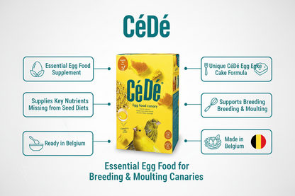 CéDé Canary Rearing Food Infographic