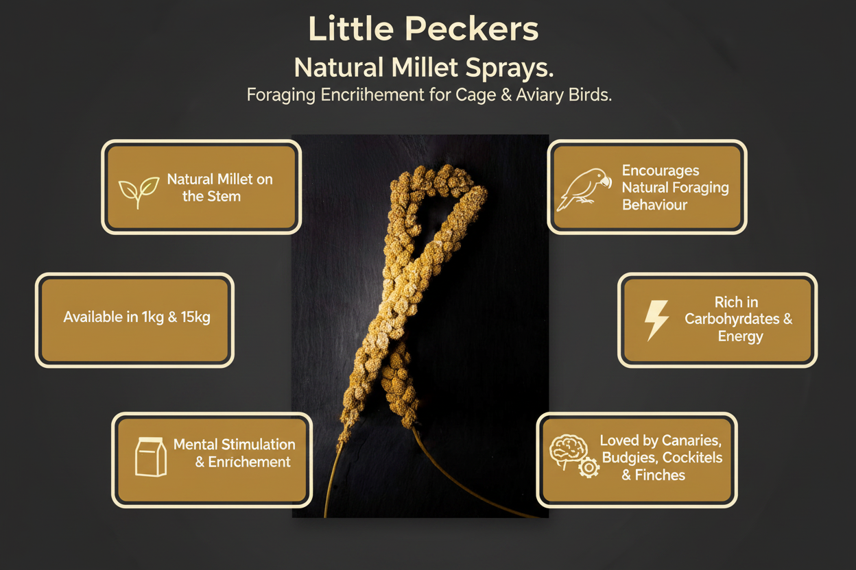 Chinese Millet Sprays Infographic
