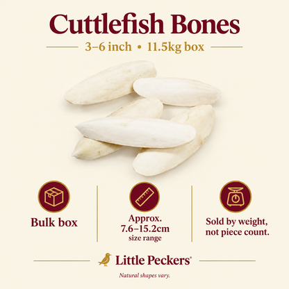 Cuttlefish bones bulk-box infographic