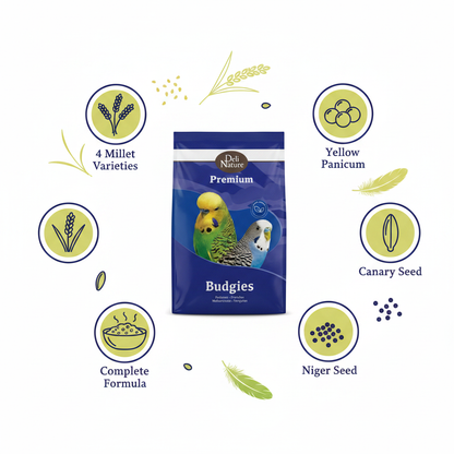 Deli Nature Premium Budgie Infographic