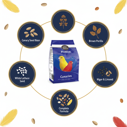 Deli Nature Premium Canaries Infographic