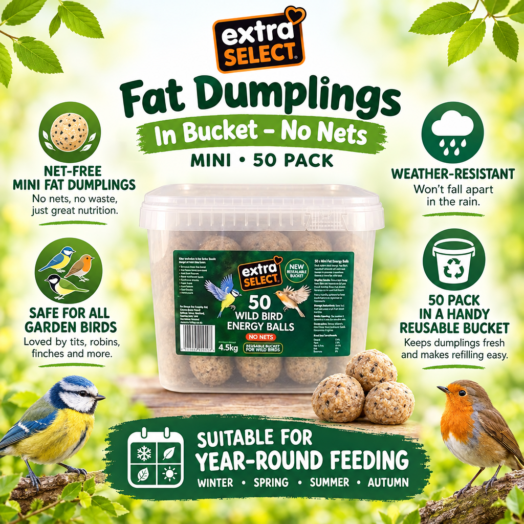 Extra Select Fat Dumplings Mini No Nets 50 Pack infographic