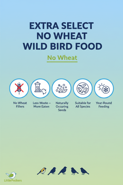Extra Select No Wheat Wild Bird Food Infographic