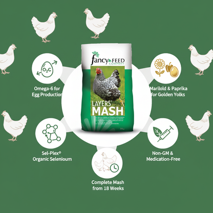 Fancy Feeds Layers Mash Infographic