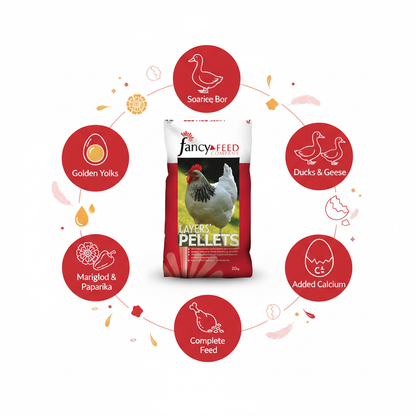 Fancy Feeds Layers Pellets Infographic