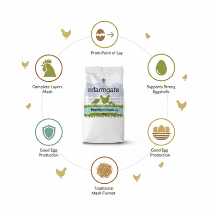 Farmgate Layers Mash Infographic