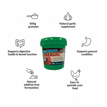Garlic Granules