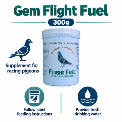 Gem Flight Fuel 300g infographic