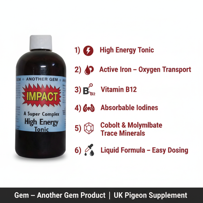 Gem Impact 250ml Infographic