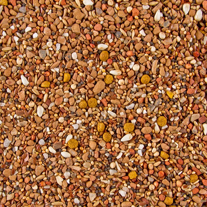 Beyers Urtica Chloretta Mineral Mix 5kg
