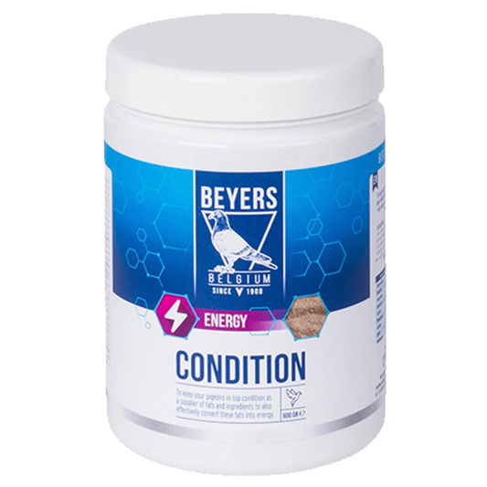 Beyers Condition 600g