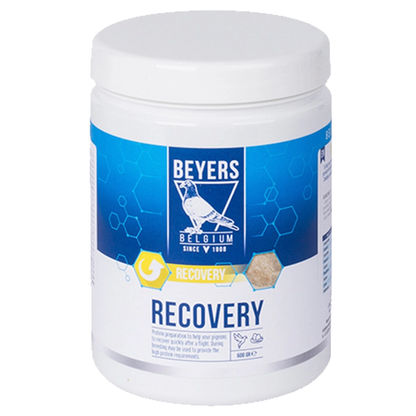 Beyers Recovery 650g