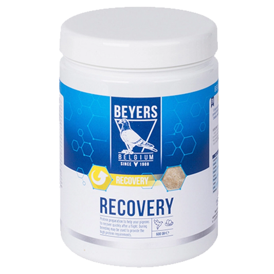 Beyers Recovery 650g