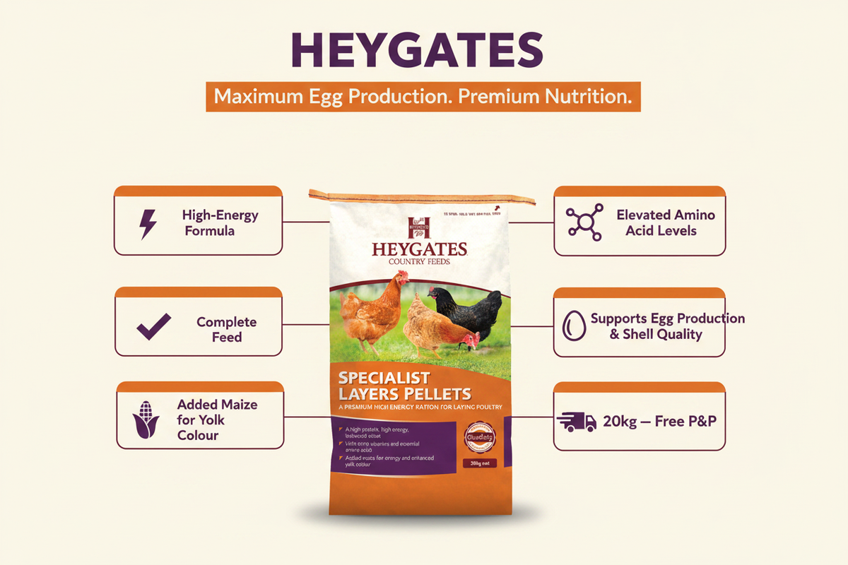 Heygates Specialist Layers Pellets Infographic
