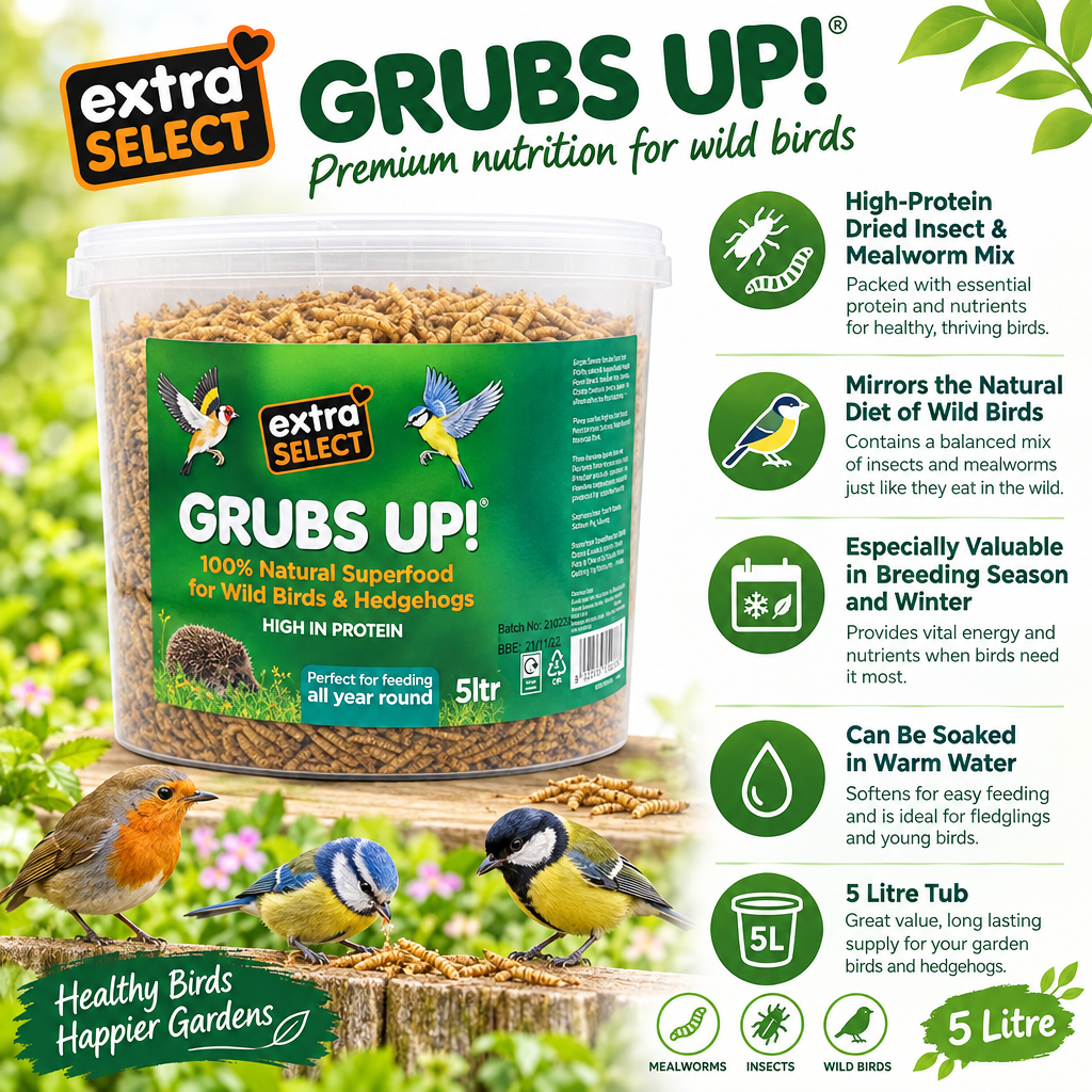 Extra Select Grubs Up 5 Litre Infographic