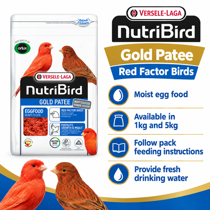 Versele-Laga NutriBird Gold Patee moist egg food for red factor birds, available in 1kg and 5kg