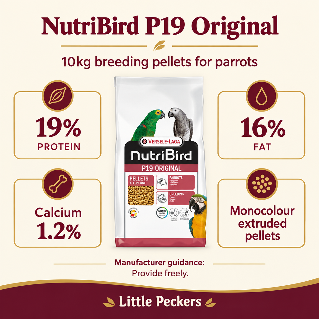 NutriBird P19 Original 10kg breeding pellet infographic showing protein, fat, calcium and feeding guidance