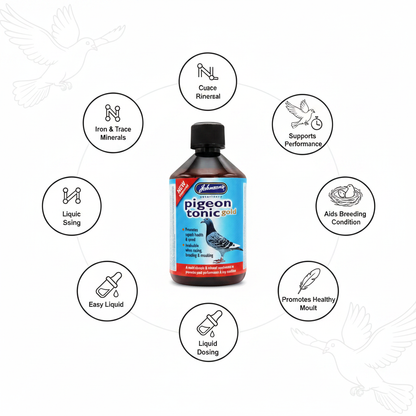 Johnson's Pigeon Tonic Gold Infographic