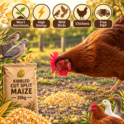 Kibbled / Cut / Split Maize 20kg Infographic