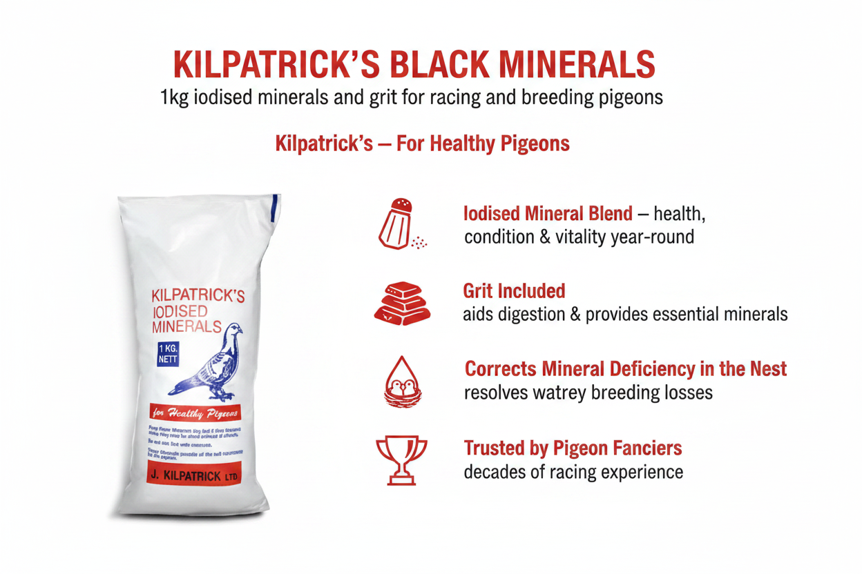 Kilpatrick's Black Minerals Infographic