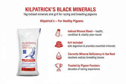 Kilpatrick's Black Minerals Infographic