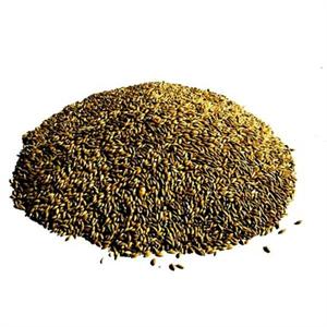 Titmuss Plain Canary Seed 20kg