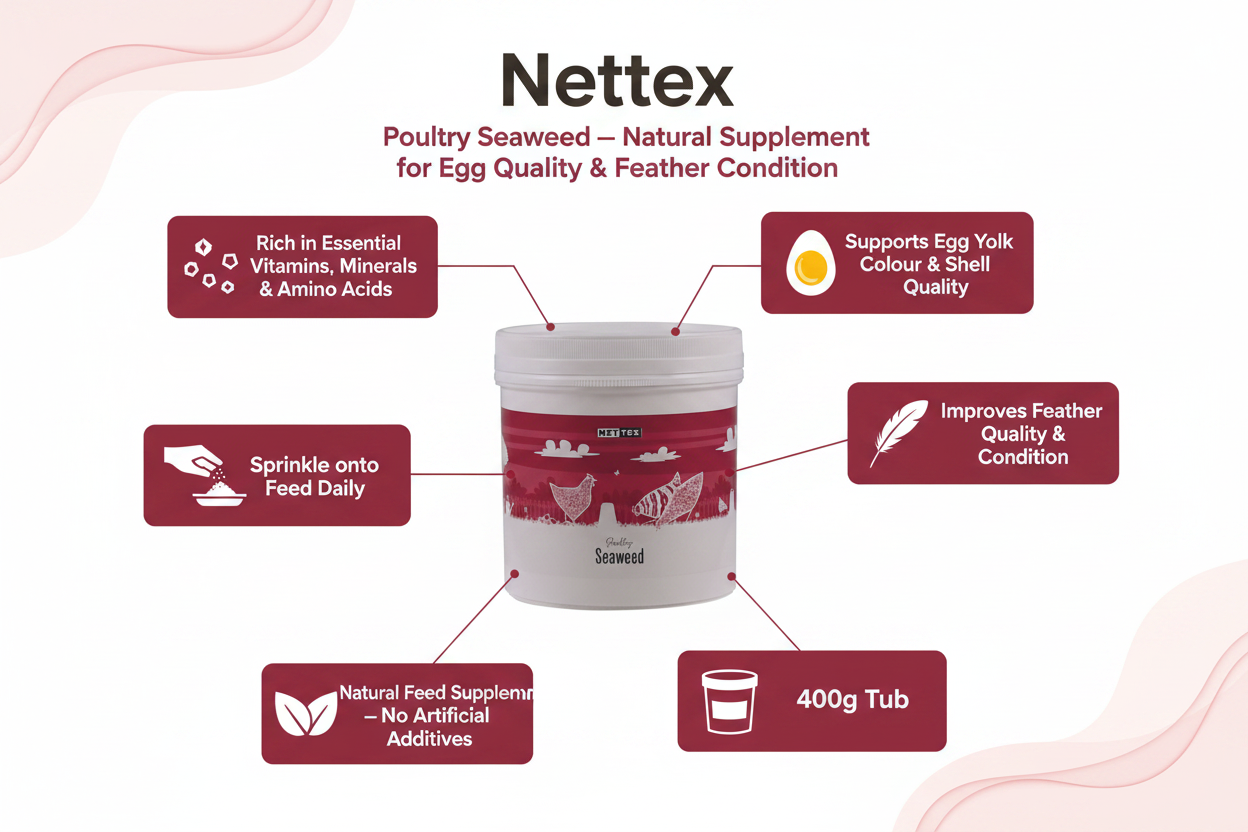 Nettex Poultry Seaweed Infographic