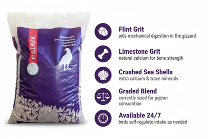 Ostrea Pigeon Grit Infographic