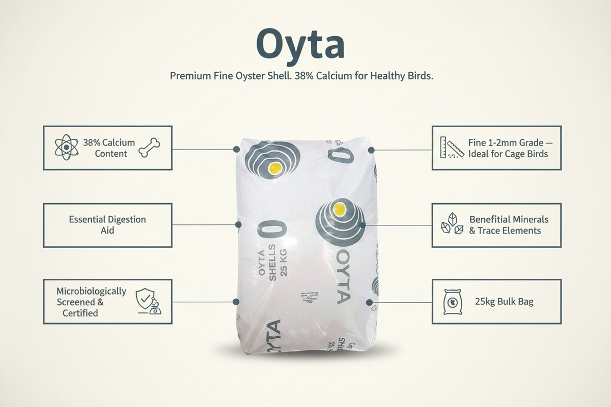 Oyta Fine Oyster Shell Infographic
