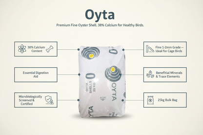 Oyta Fine Oyster Shell Infographic