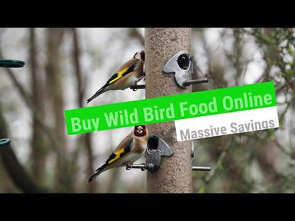 Little Peckers No Waste Wild Bird Seed Mixture 20kg - FREE P&P