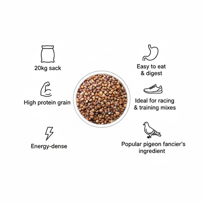 Red Dari 20kg Infographic