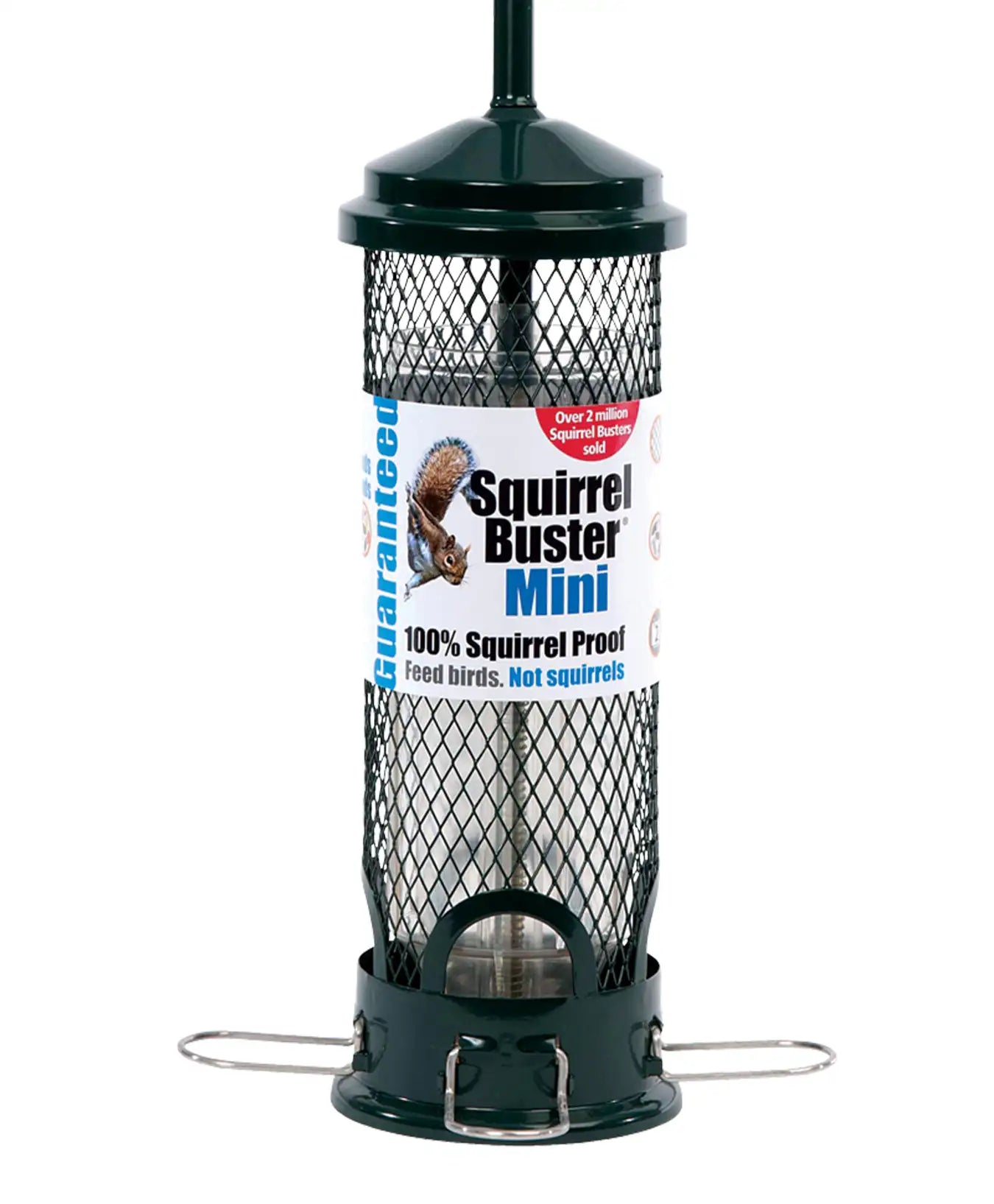 Jacobi Jayne Squirrel Buster Mini