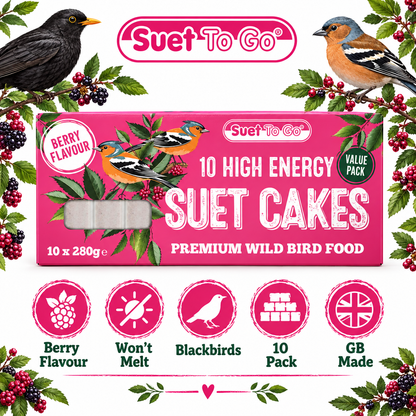 Suet To Go Berry Suet Blocks Pack of 10 Infographic