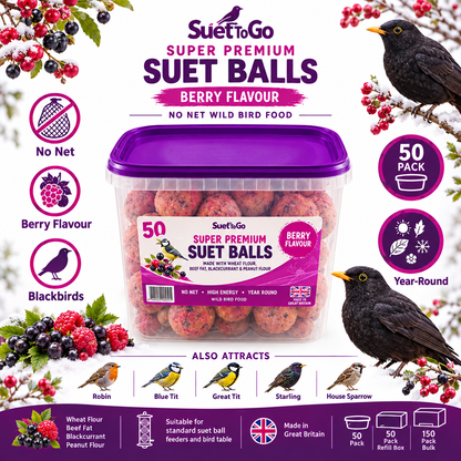 Suet To Go Super Premium Berry Suet Balls Infographic