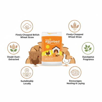 Sundown Egg-e-Bed Infographic