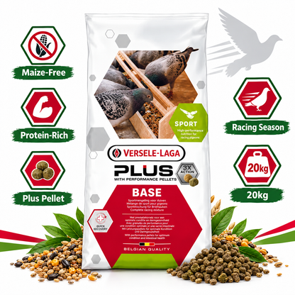 Versele-Laga Base Plus 20kg Infographic