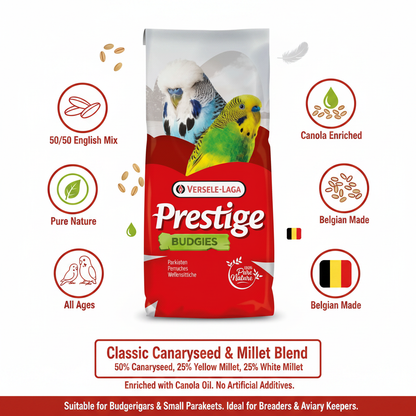 Versele-Laga Budgies English Mixture 50/50 Infographic