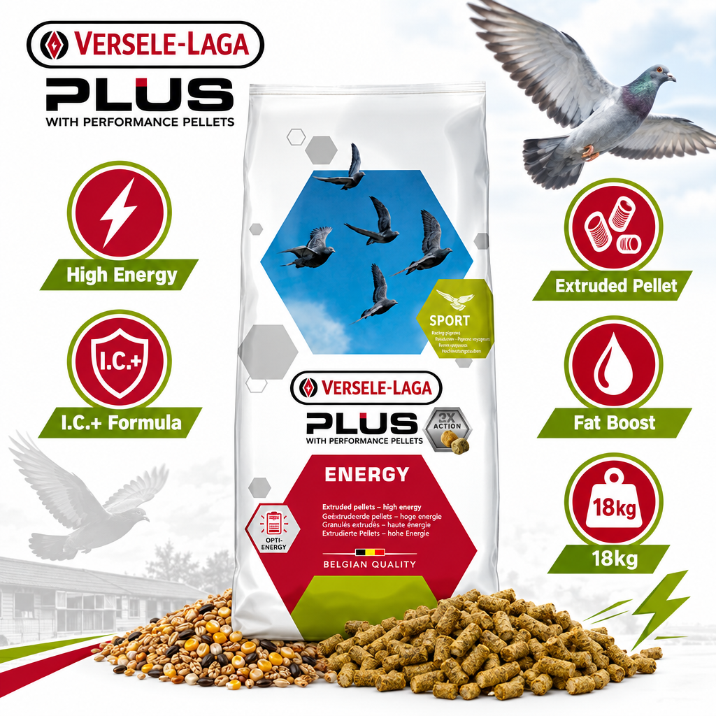 Versele-Laga Colombine Energy Plus I.C.+ 18kg Infographic