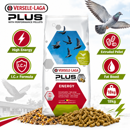 Versele-Laga Colombine Energy Plus I.C.+ 18kg Infographic