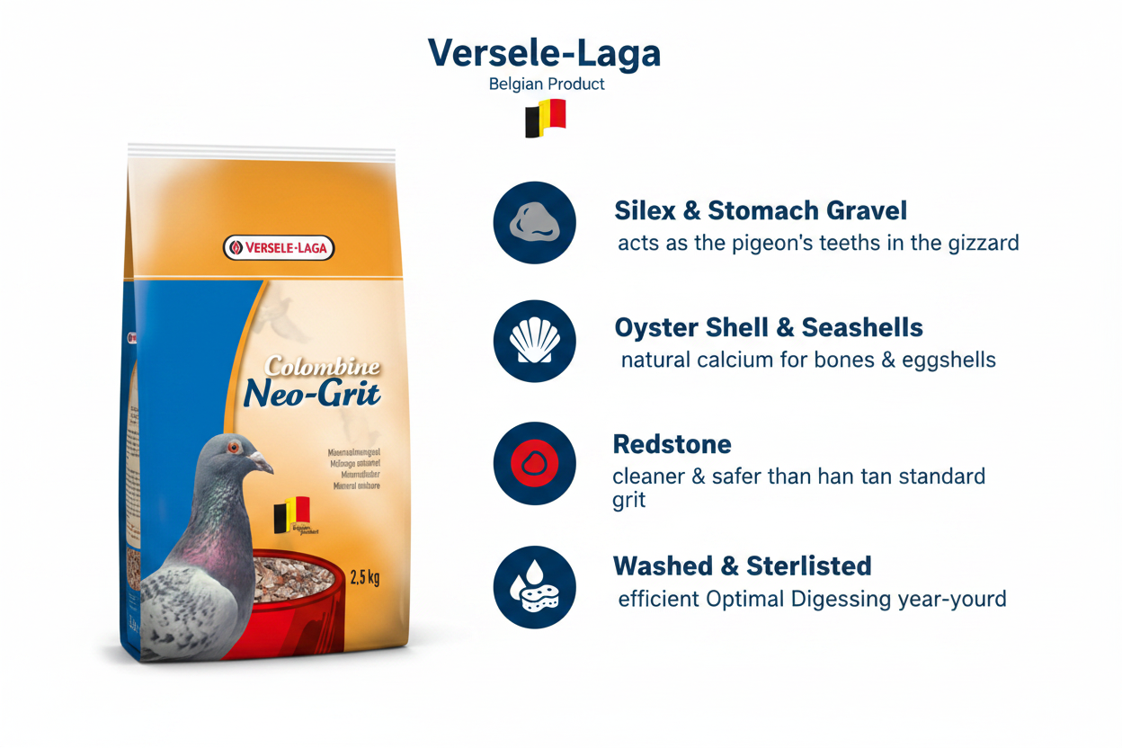 Versele-Laga Colombine Neo-Grit Infographic