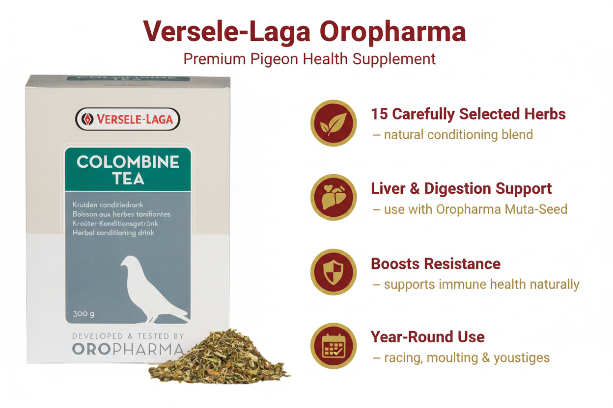 Versele-Laga Colombine Tea Infographic