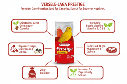 Versele-Laga Germination Seed Canaries Infographic