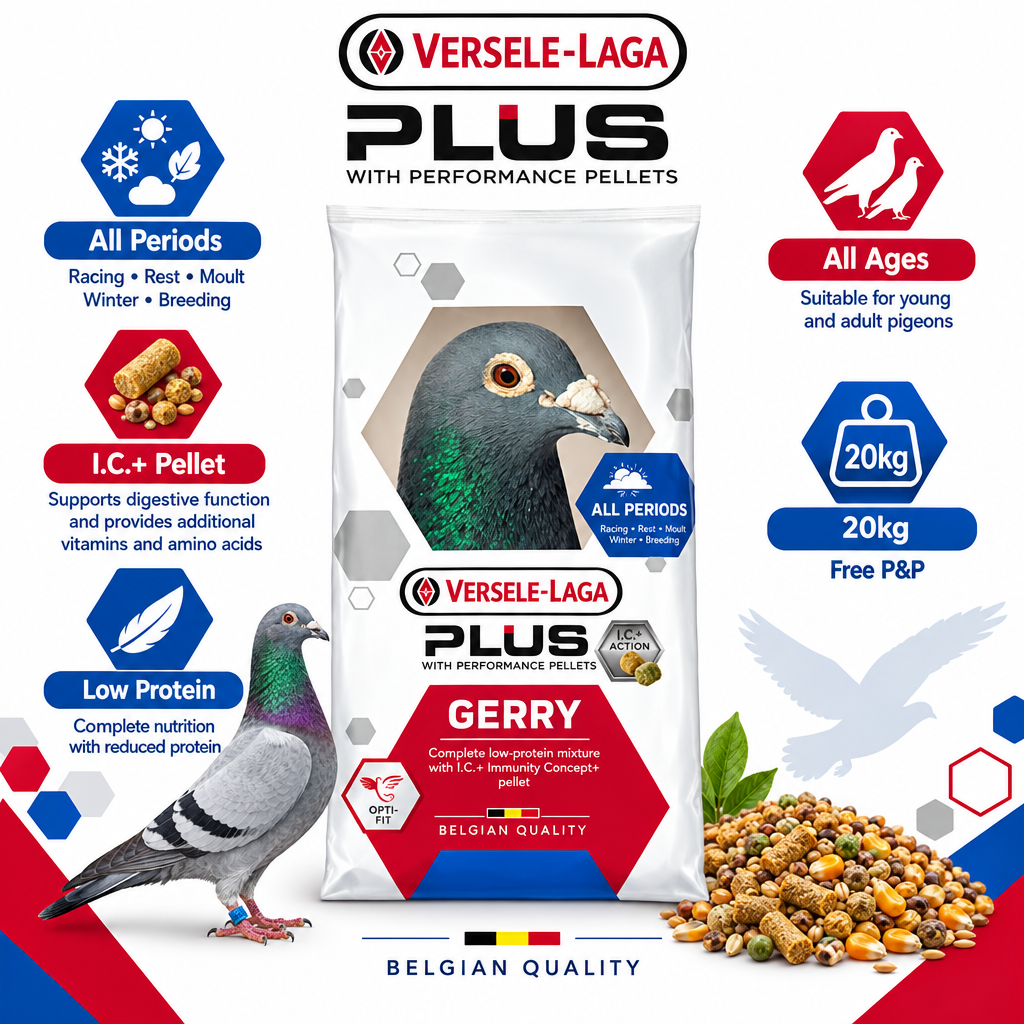 Versele-Laga Gerry Plus I.C.+ 20kg Infographic
