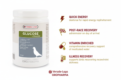 Versele-Laga Glucose & Vitamins Infographic
