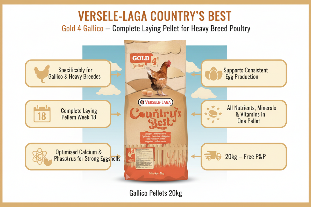 Versele-Laga Gold 4 Gallico Pellets Infographic