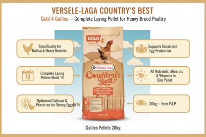 Versele-Laga Gold 4 Gallico Pellets Infographic