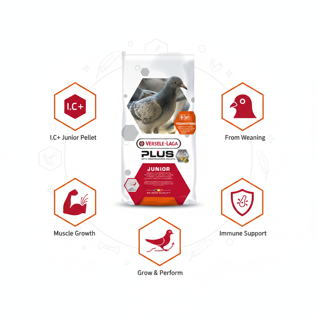 Versele-Laga Junior Plus I.C.+ Infographic