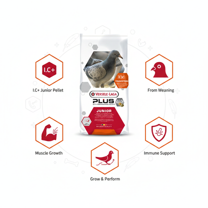 Versele-Laga Junior Plus I.C.+ Infographic